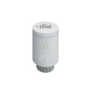 Cap termostatic Ferroli FER 808